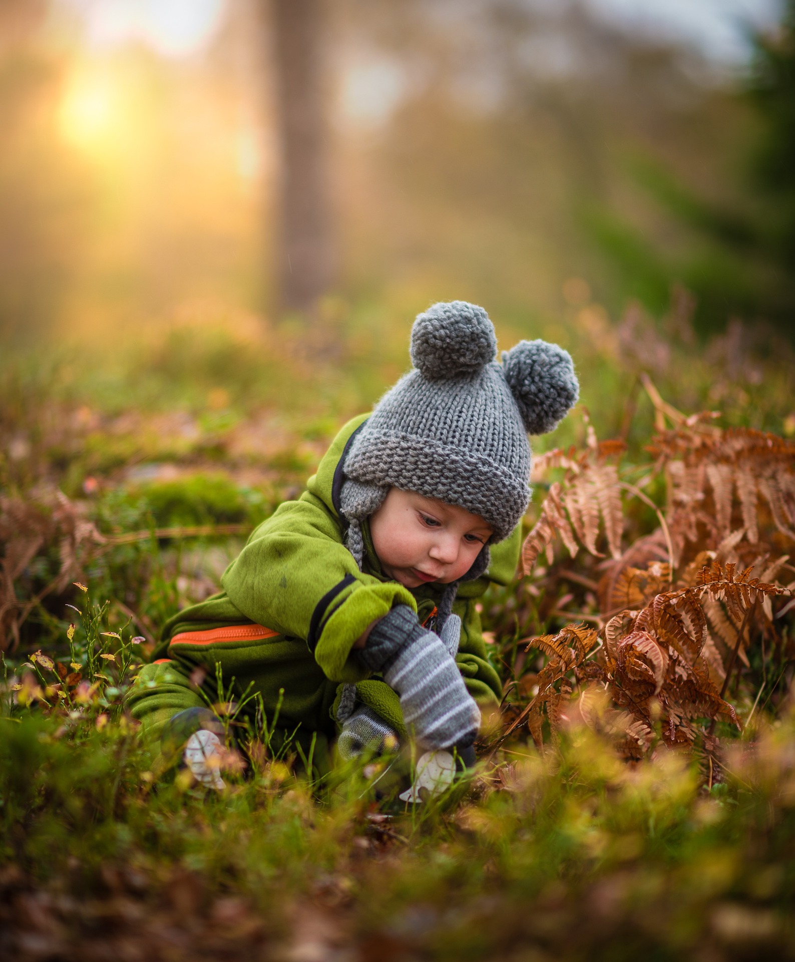 baby-1868683_1920
